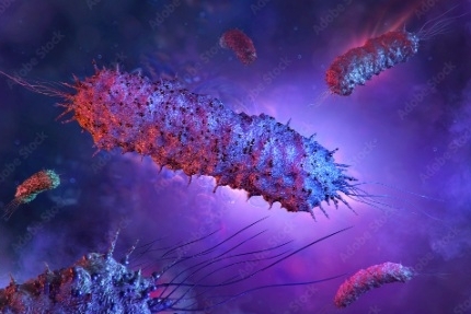 Miếng dán virus tiêu diệt 99.9% vi khuẩn trong thực phẩm